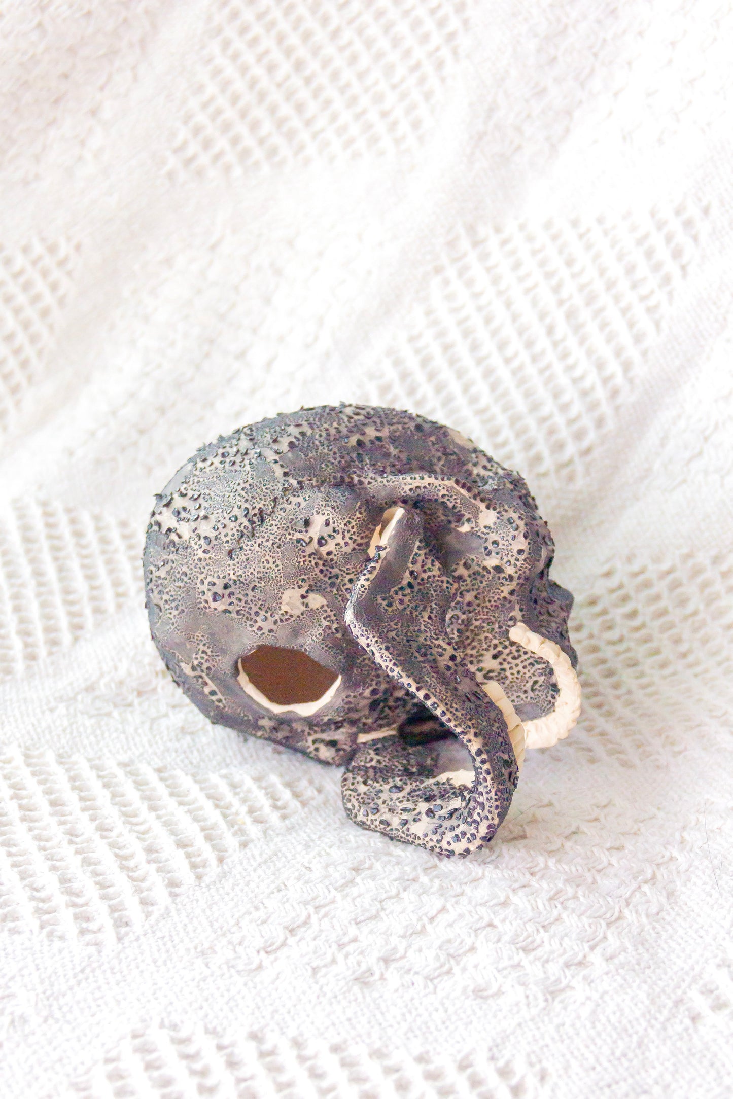 Crâne en céramique marron et noir
