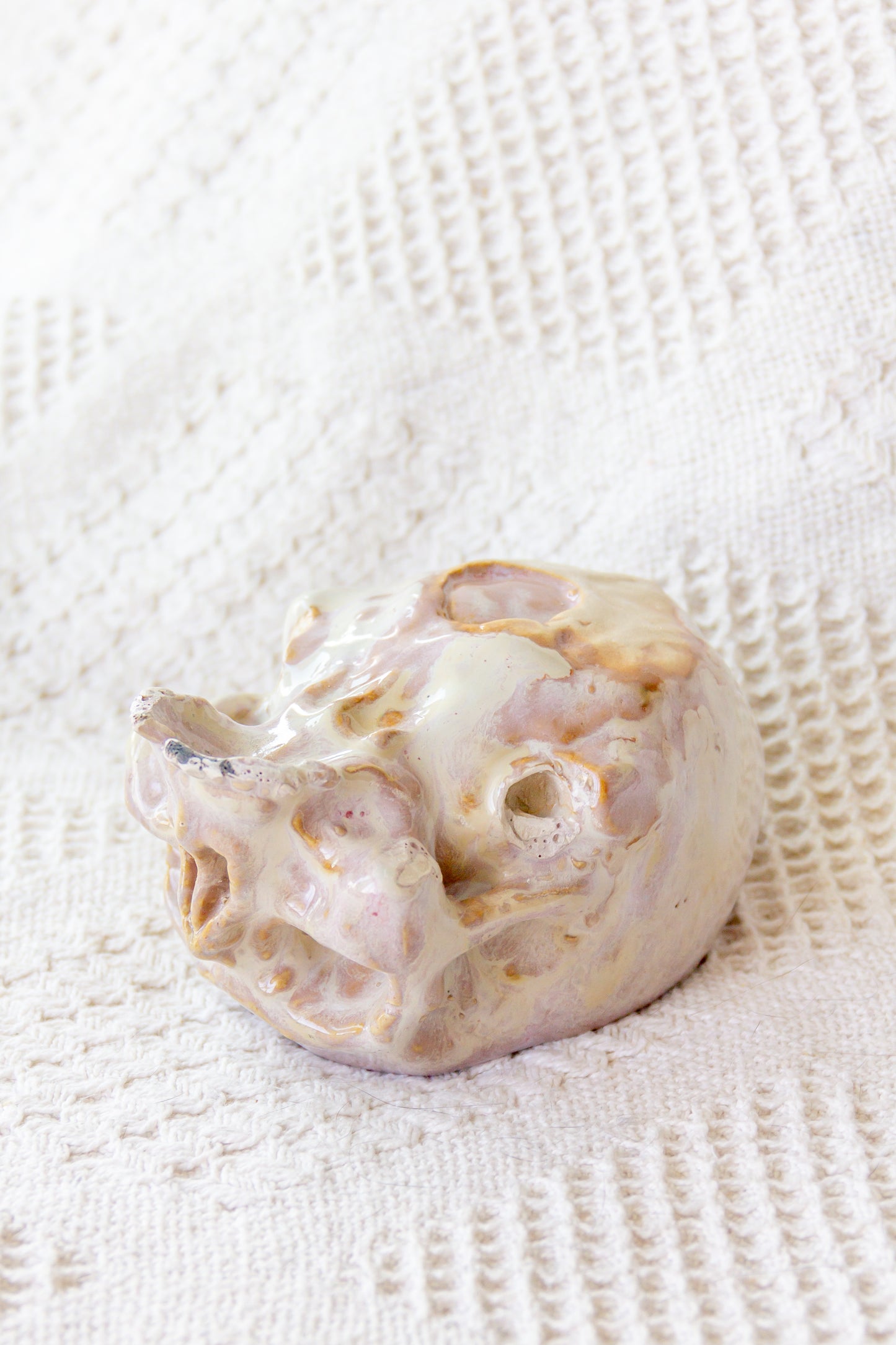 Czaszka-szkatułka ceramiczna beżowo-malinowa