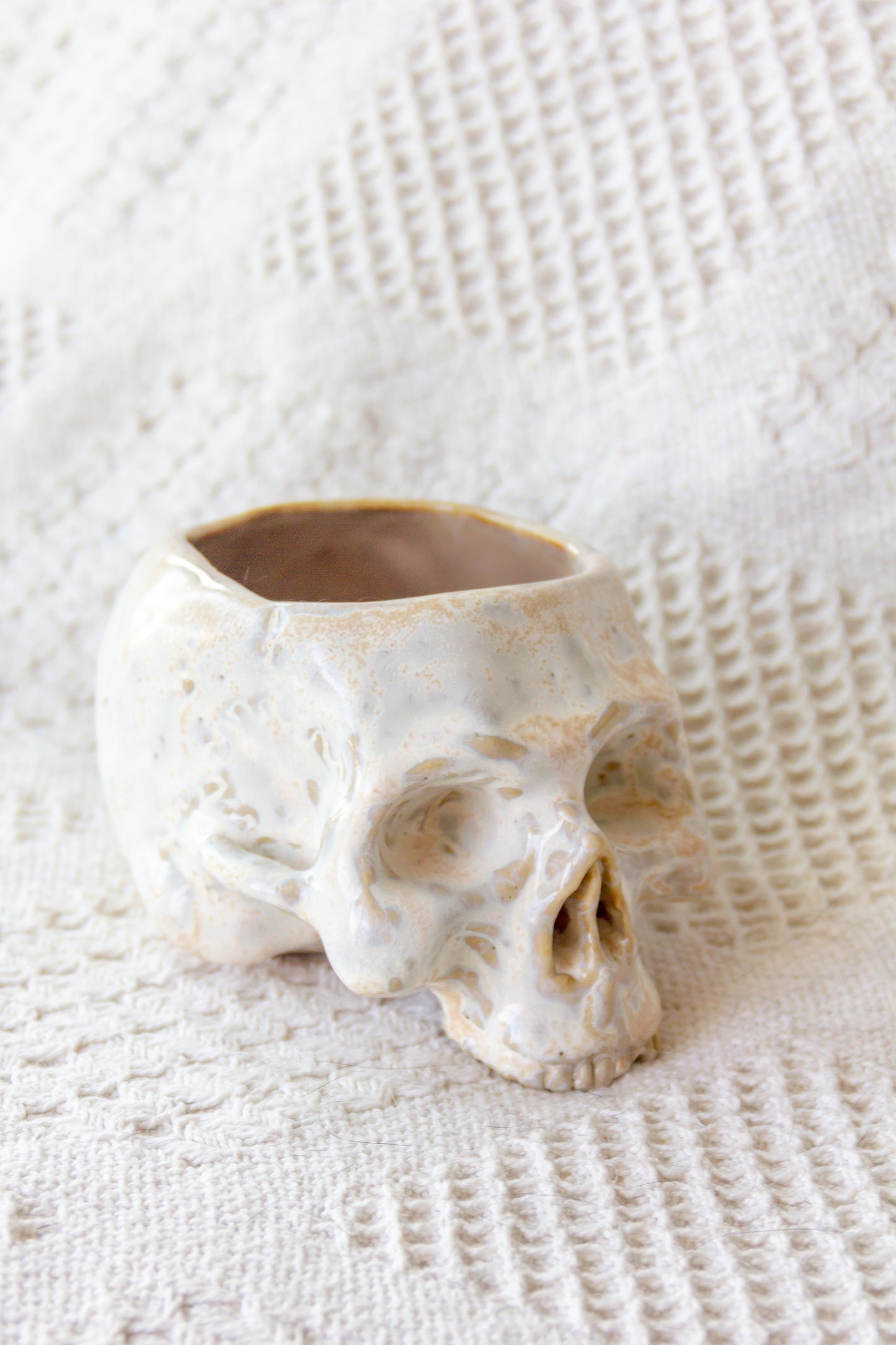 Czaszka-szkatułka ceramiczna beżowo-biała