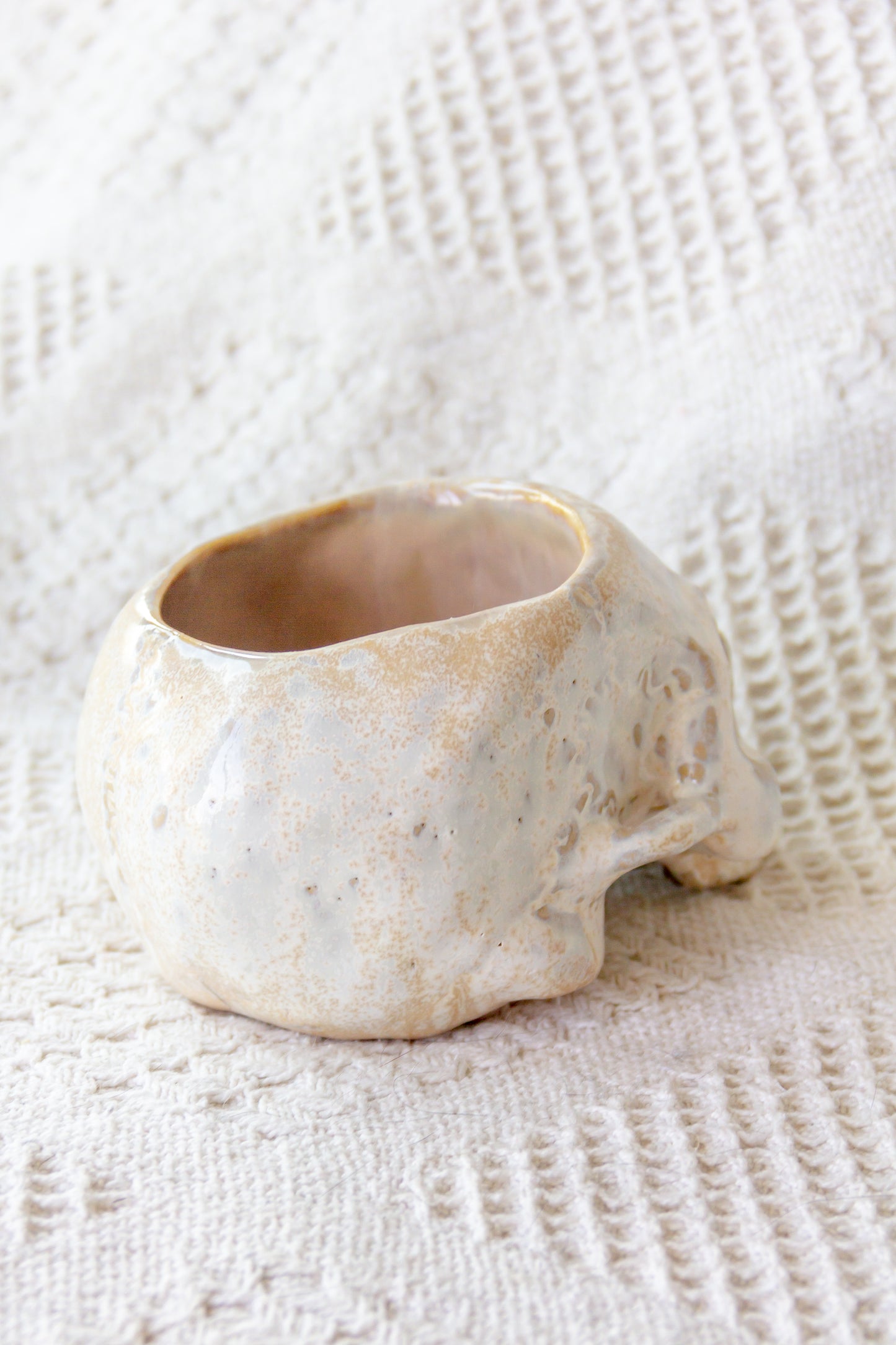 Czaszka-szkatułka ceramiczna beżowo-biała