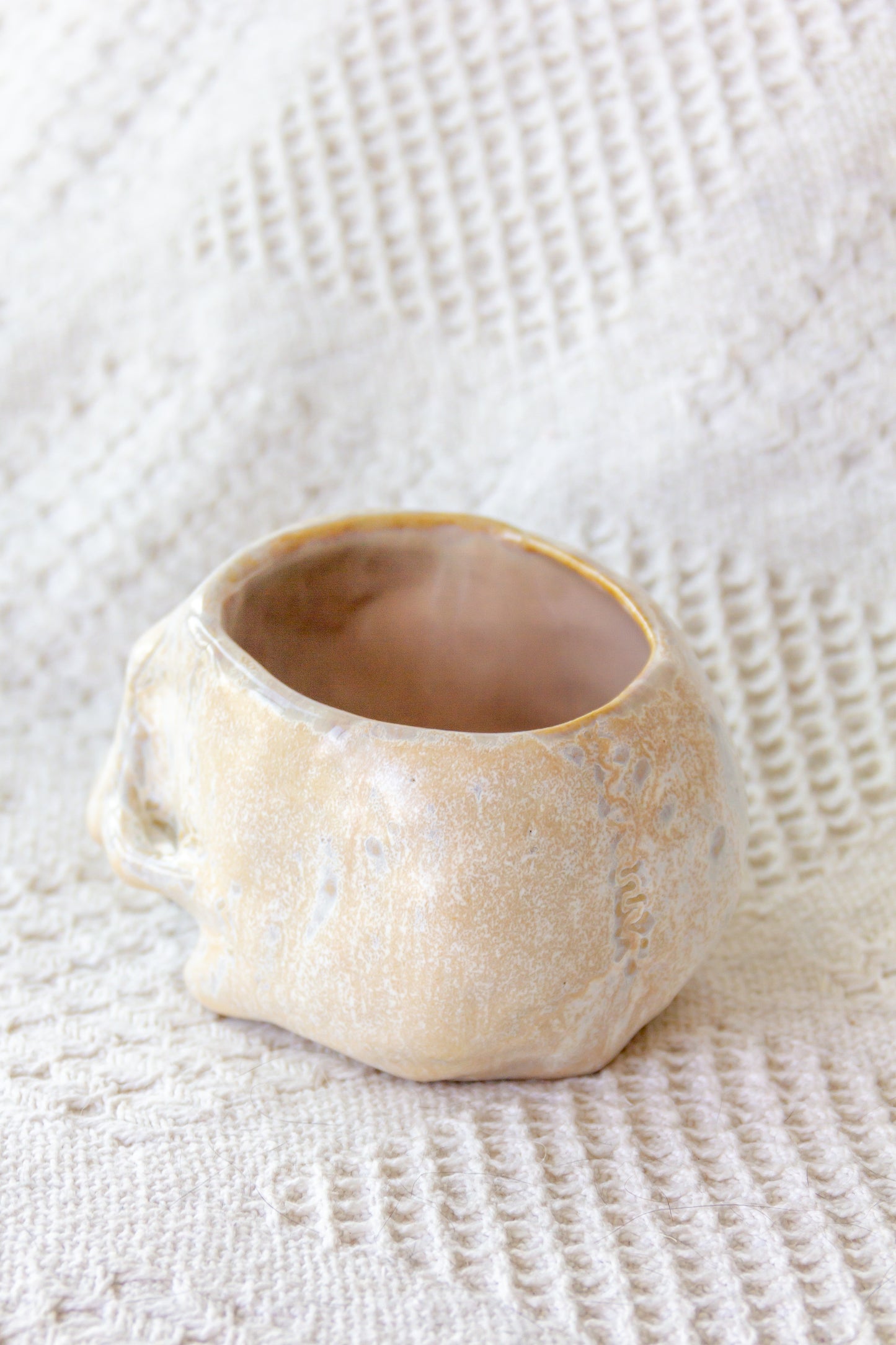 Czaszka-szkatułka ceramiczna beżowo-biała