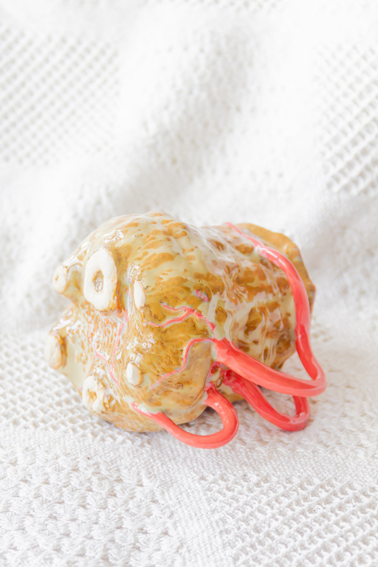 Kubek ceramiczny “Couroupita” brązowo-różowy