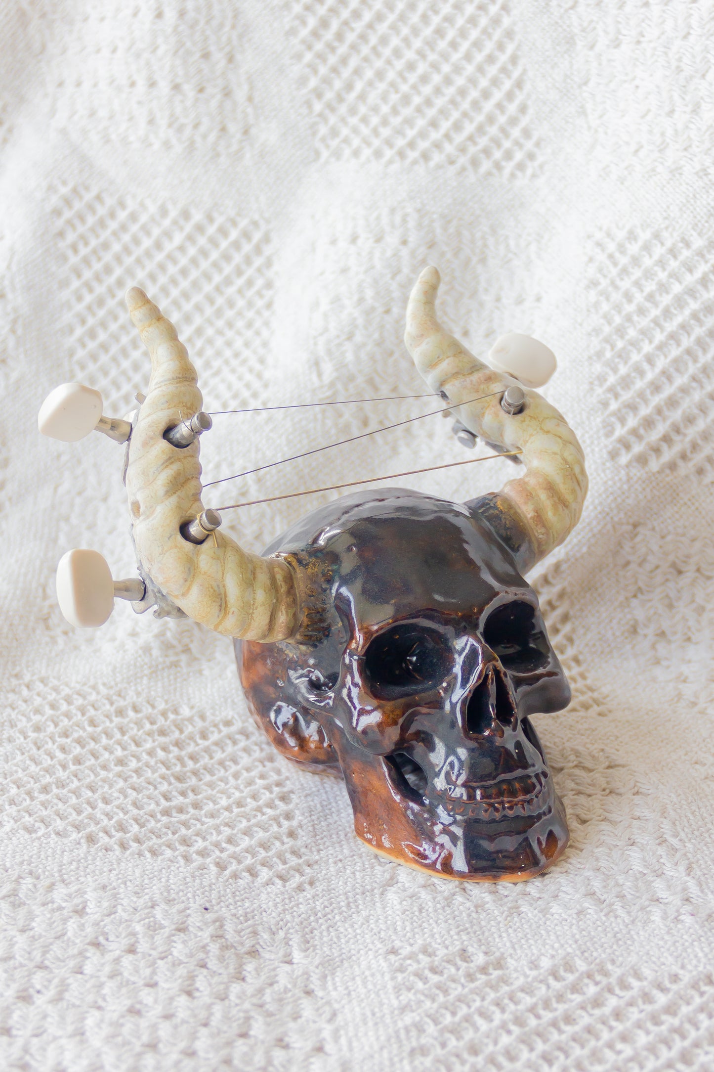 Crâne en céramique marron et noir