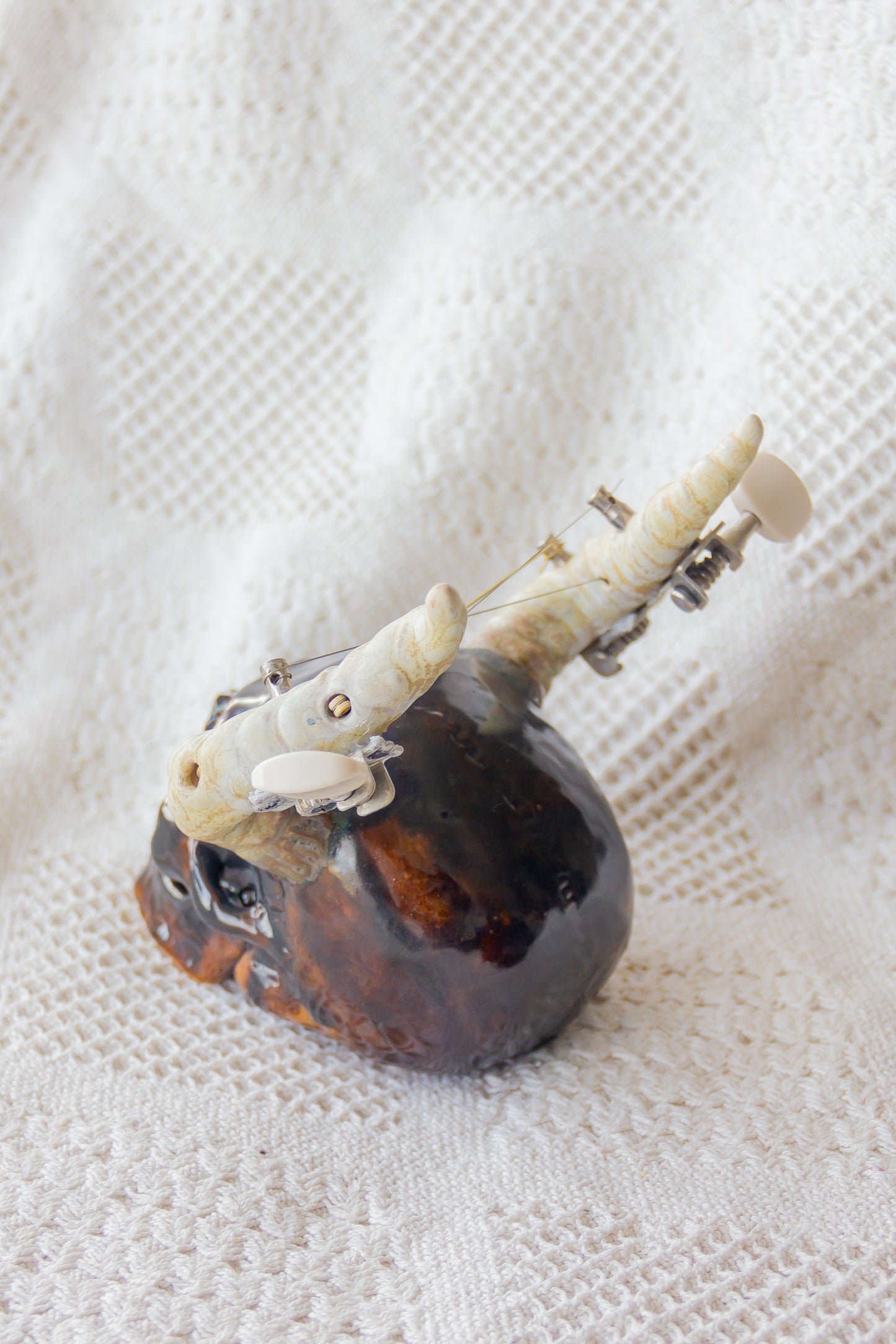 Crâne en céramique marron et noir