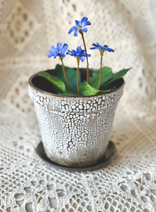 Mała doniczka z podstawką