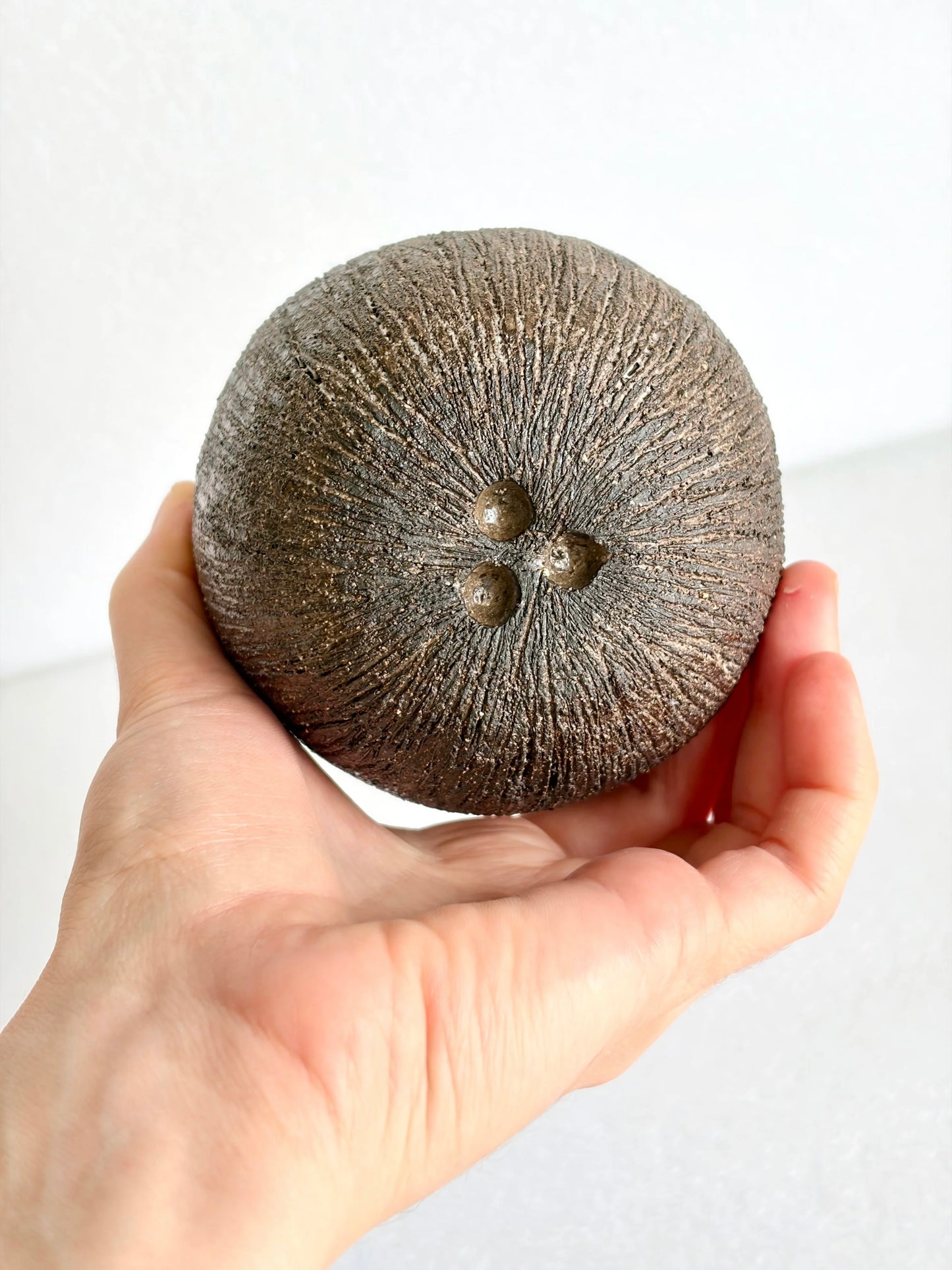 Świeca sojowa „kokos”