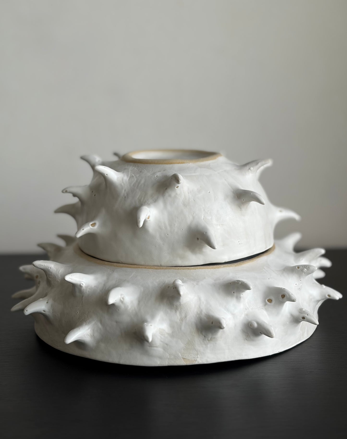 Misa ceramiczna z kolcami