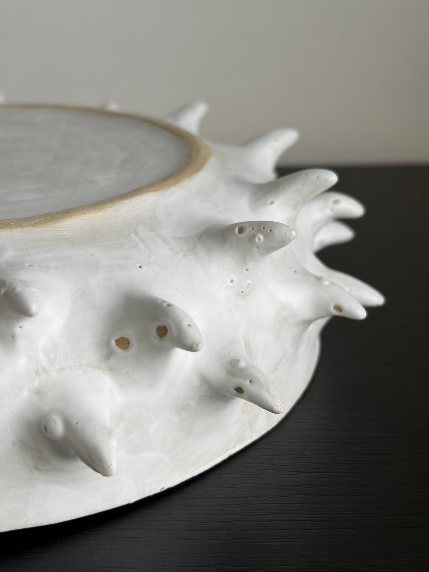 Misa ceramiczna z kolcami