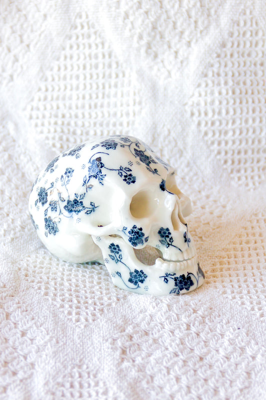 Czaszka porcelanowa z ruchomą żuchwą