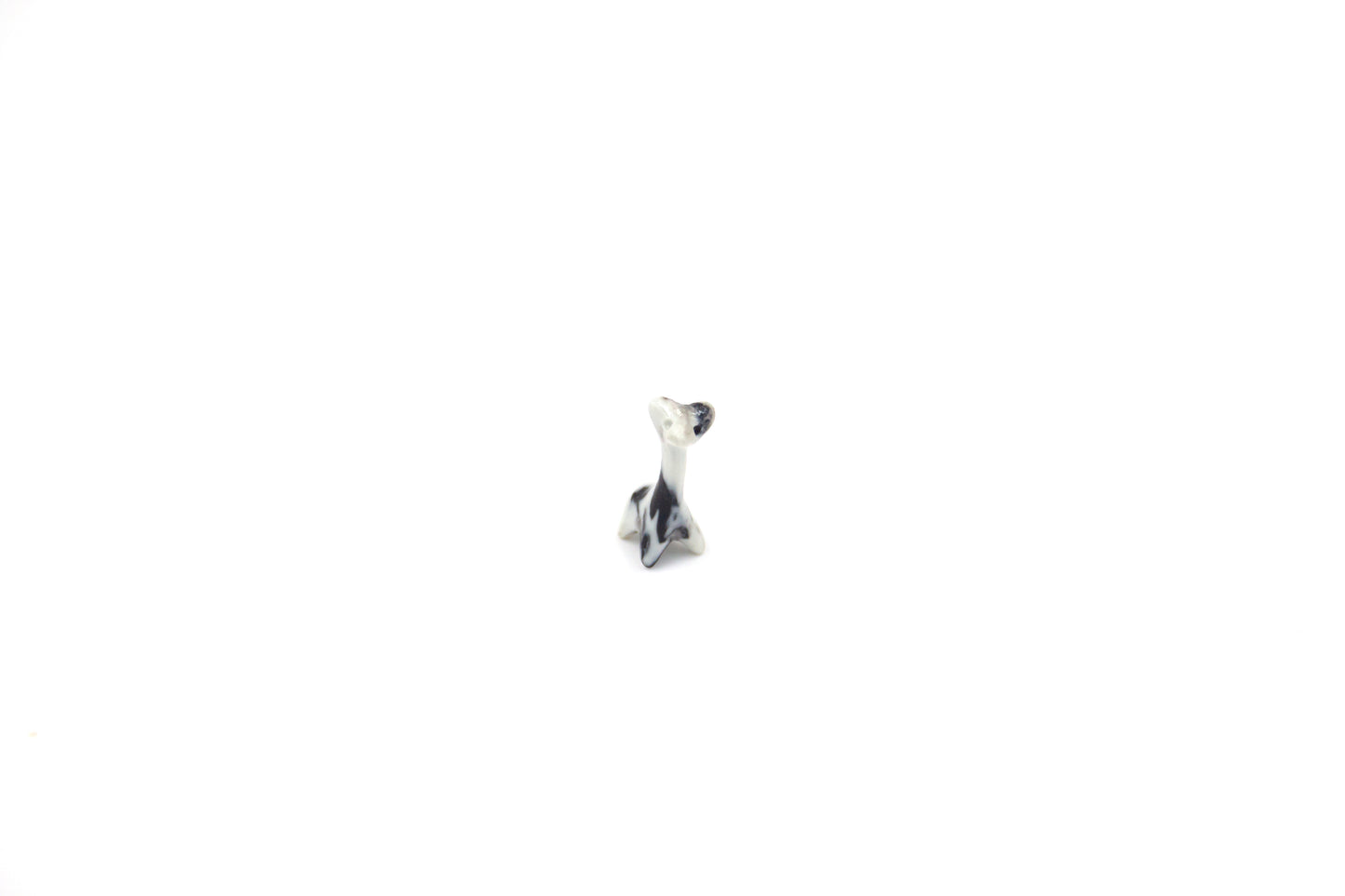 Losowe zwierze “Werlingtin marmurowy”